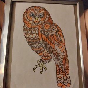 Framed 8 x 10 Owl Artwork